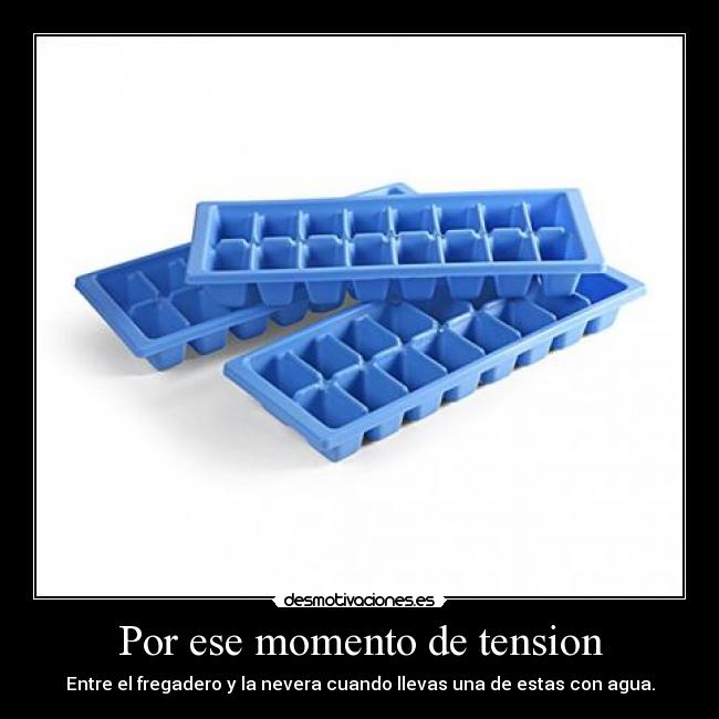 Por ese momento de tension - Entre el fregadero y la nevera cuando llevas una de estas con agua.