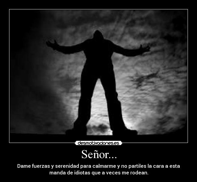 carteles senor desmotivaciones