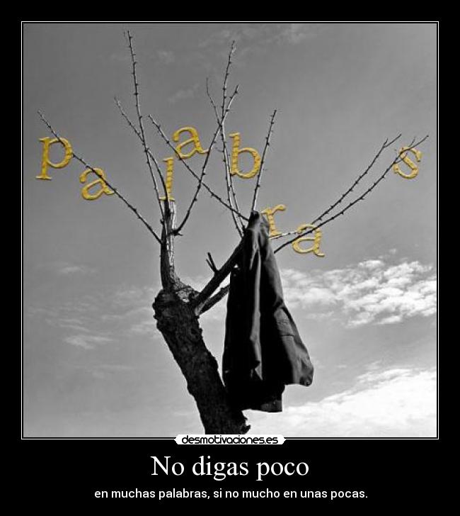 No digas poco - en muchas palabras, si no mucho en unas pocas.