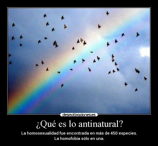 ¿Qué es lo antinatural? - 