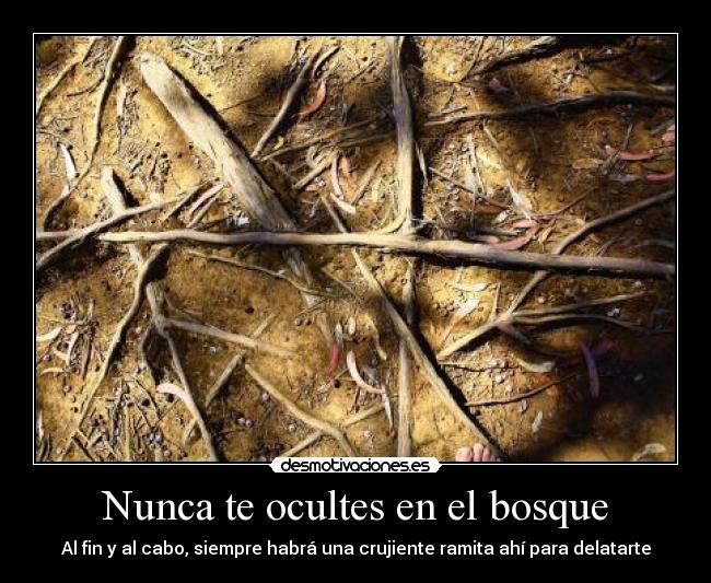 Nunca te ocultes en el bosque - 