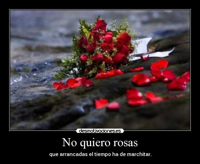 No quiero rosas - que arrancadas el tiempo ha de marchitar.