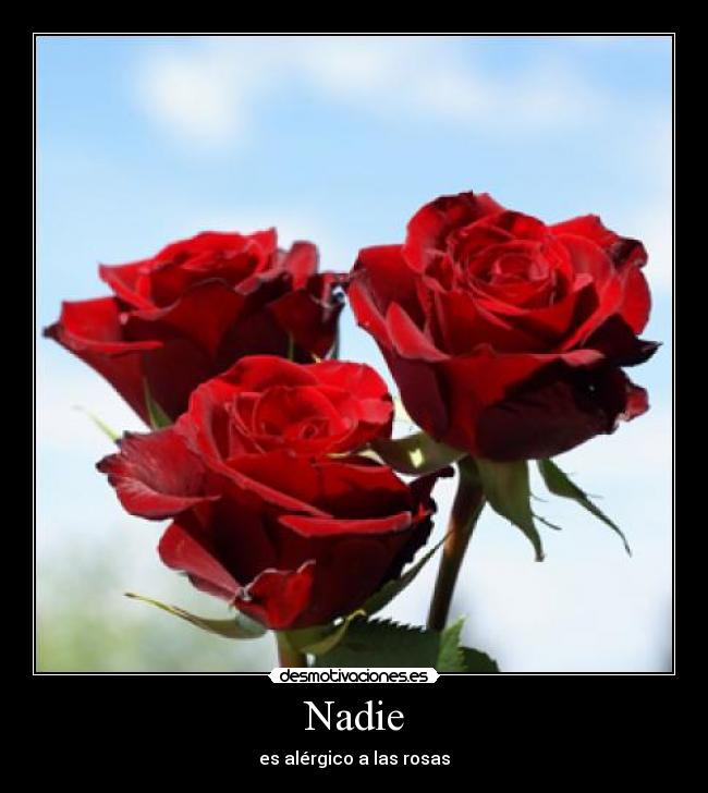 carteles regala flores desmotivaciones