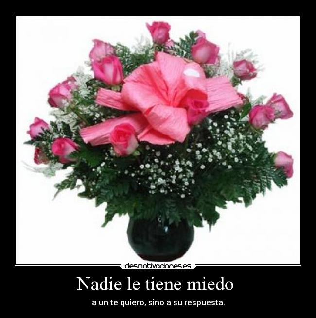 Nadie le tiene miedo -