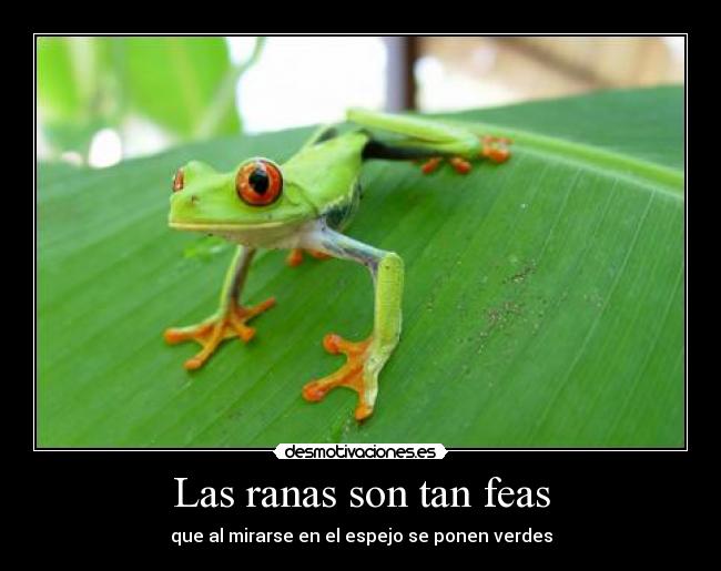 Las ranas son tan feas - que al mirarse en el espejo se ponen verdes