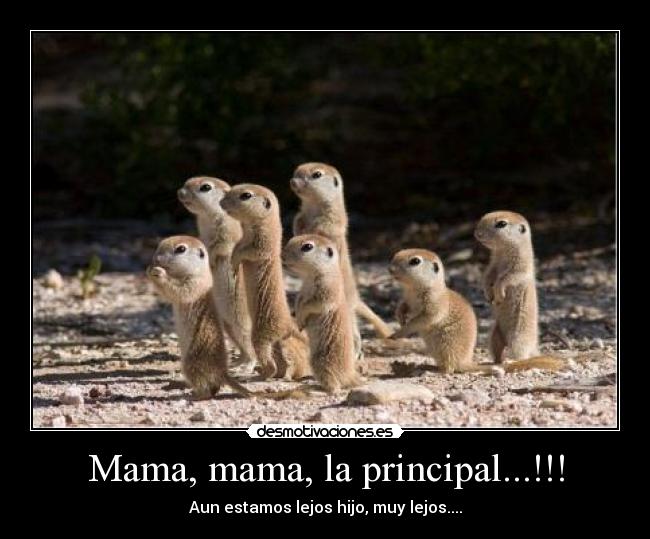 Mama, mama, la principal...!!! - Aun estamos lejos hijo, muy lejos....