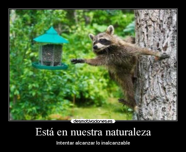 Está en nuestra naturaleza -