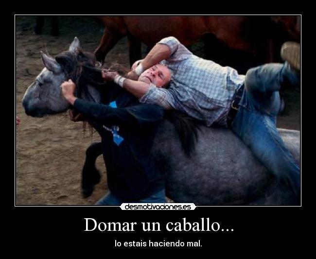 Domar un caballo... -