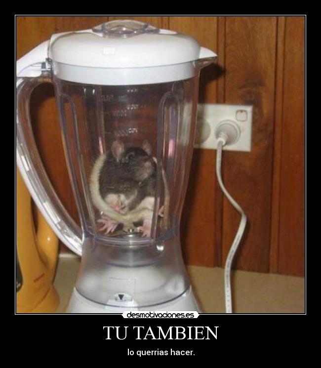 TU TAMBIEN - lo querrias hacer.