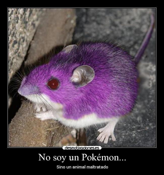 No soy un Pokémon... -