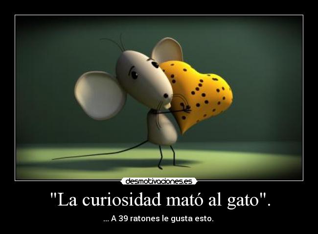 La curiosidad mató al gato. -
