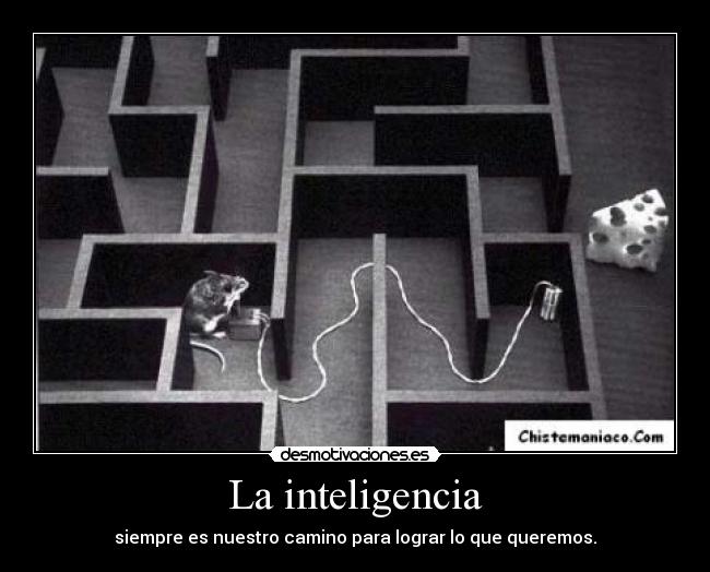 La inteligencia - siempre es nuestro camino para lograr lo que queremos.