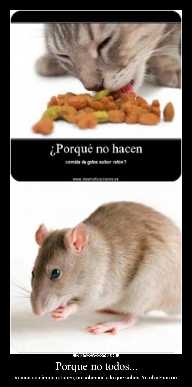 Porque no todos... - Vamos comiendo ratones, no sabemos a lo que sabes. Yo al menos no.