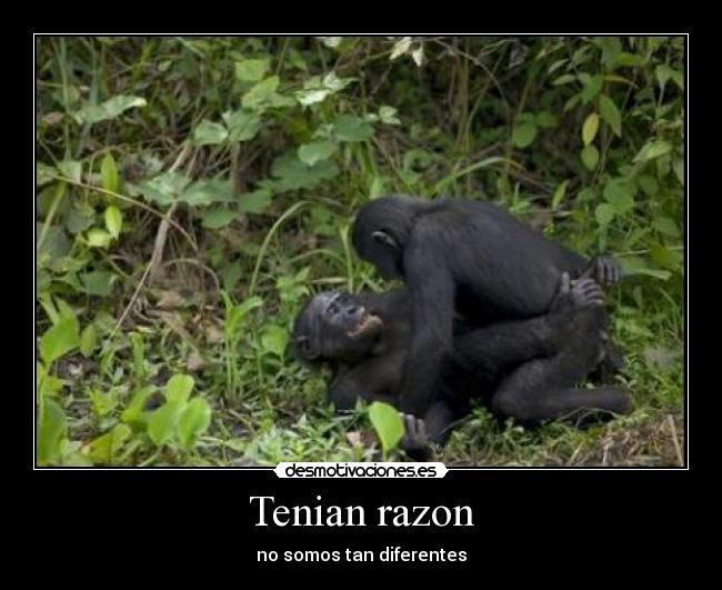 Tenian razon -