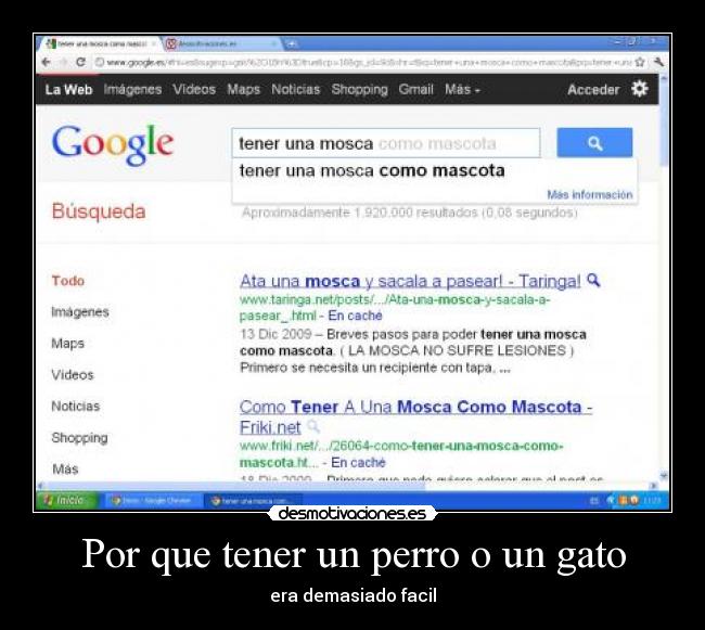 Por que tener un perro o un gato - 