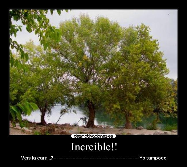 Increible!! - Veis la cara...?--------------------------------------------------Yo tampoco