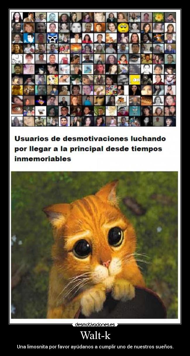 Walt-k - Una limosnita por favor ayúdanos a cumplir uno de nuestros sueños.