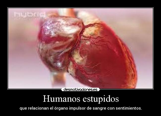 Humanos estupidos -