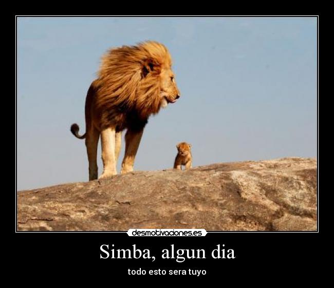 Simba, algun dia - todo esto sera tuyo