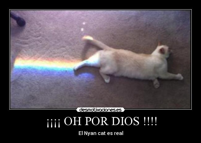 ¡¡¡¡ OH POR DIOS !!!! - El Nyan cat es real