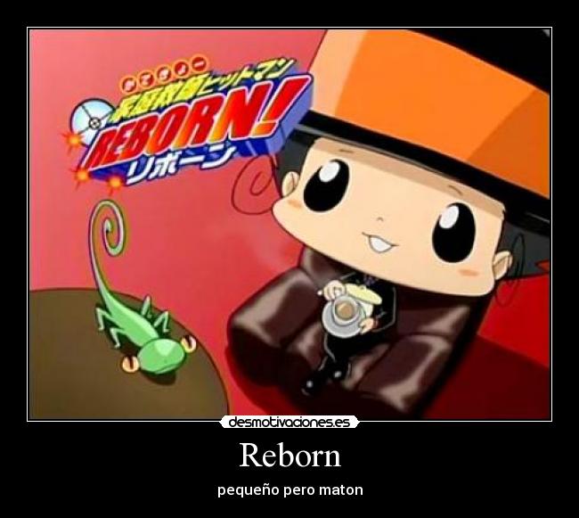 Reborn - pequeño pero maton