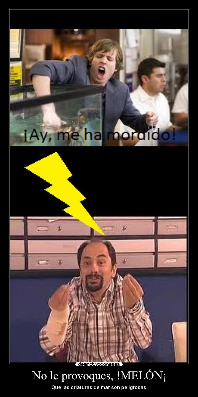 No le provoques, !MELÓN¡ - Que las criaturas de mar son peligrosas.