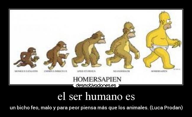 el ser humano es - 