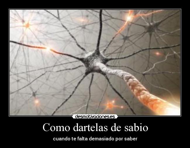 Como dartelas de sabio - cuando te falta demasiado por saber