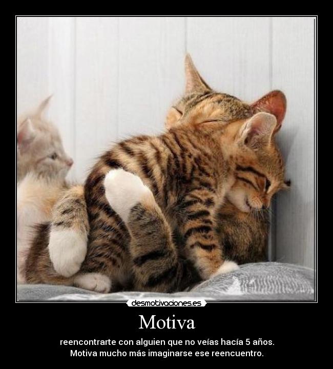 Motiva - reencontrarte con alguien que no veías hacía 5 años.
Motiva mucho más imaginarse ese reencuentro.
