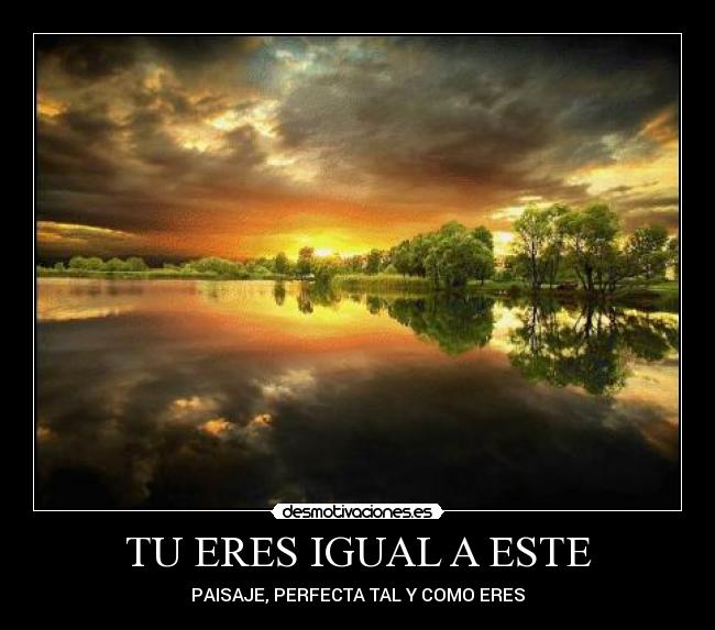 TU ERES IGUAL A ESTE - 