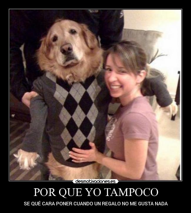 carteles cara poner regalo gusta nada perro desmotivaciones