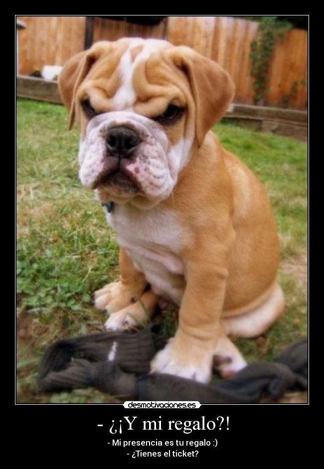 - ¿¡Y mi regalo?! - - Mi presencia es tu regalo :)
- ¿Tienes el ticket?