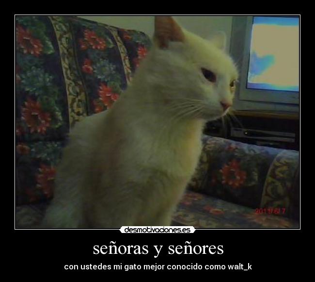 señoras y señores -