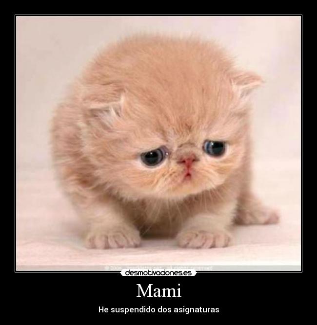 Mami - He suspendido dos asignaturas