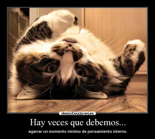 Hay veces que debemos... -