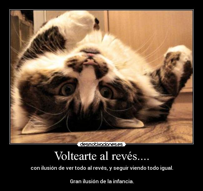 Voltearte al revés.... -