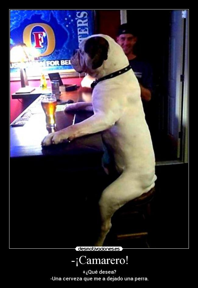 -¡Camarero! - +¿Qué desea?
-Una cerveza que me a dejado una perra.