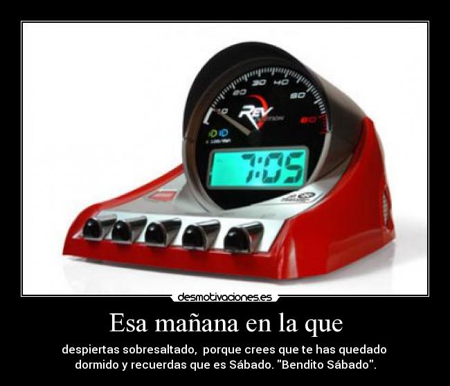 Esa mañana en la que - despiertas sobresaltado, porque crees que te has quedado
dormido y recuerdas que es Sábado. Bendito Sábado.