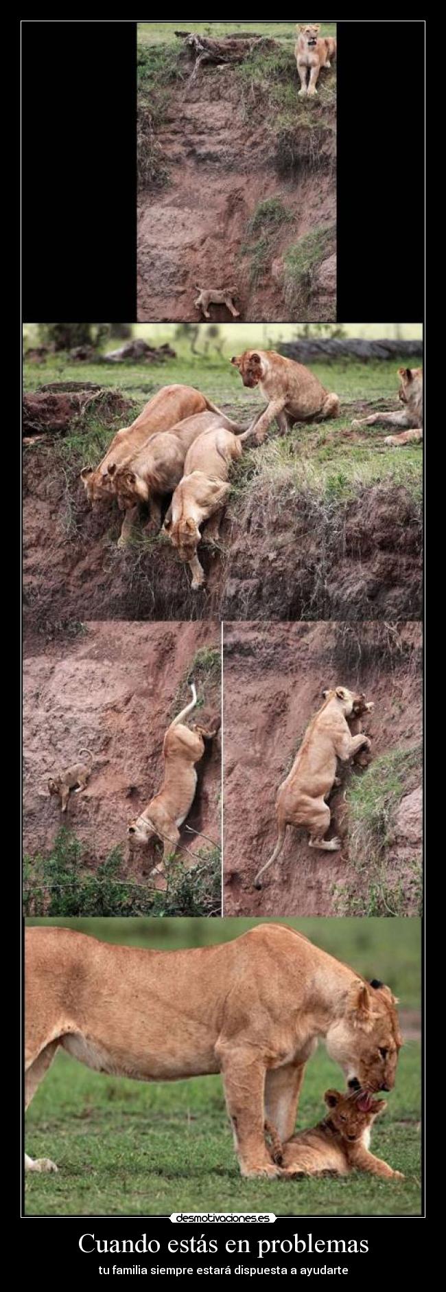 Cuando estás en problemas - tu familia siempre estará dispuesta a ayudarte