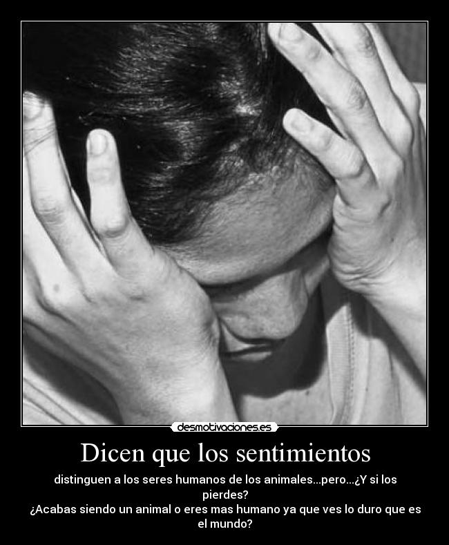 carteles sentimientos durosentimientos desmotivaciones