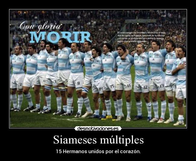 Siameses múltiples - 15 Hermanos unidos por el corazón.