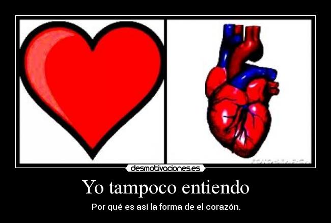 Yo tampoco entiendo - Por qué es así la forma de el corazón.
