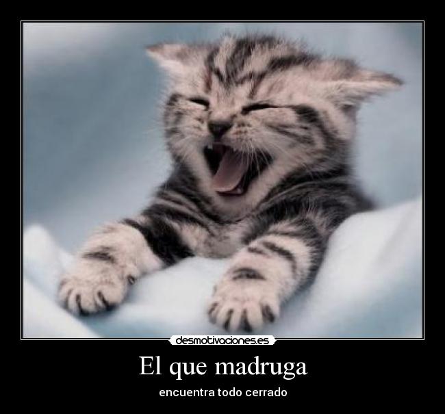 El que madruga - encuentra todo cerrado