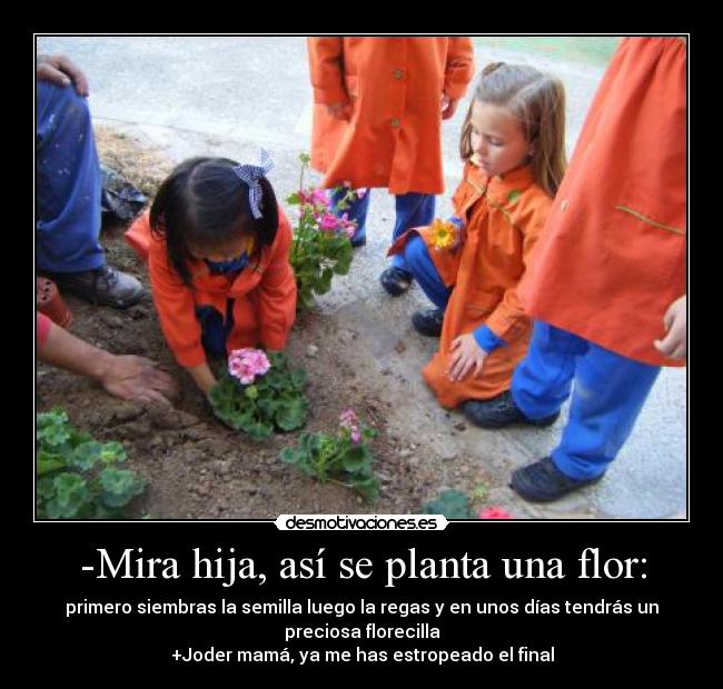 -Mira hija, así se planta una flor: - primero siembras la semilla luego la regas y en unos días tendrás un
preciosa florecilla
+Joder mamá, ya me has estropeado el final