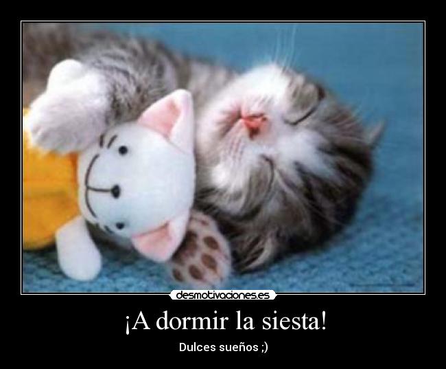¡A dormir la siesta! -