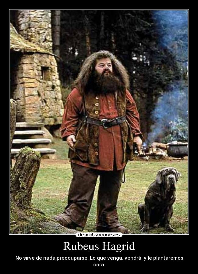 Rubeus Hagrid - No sirve de nada preocuparse. Lo que venga, vendrá, y le plantaremos cara.