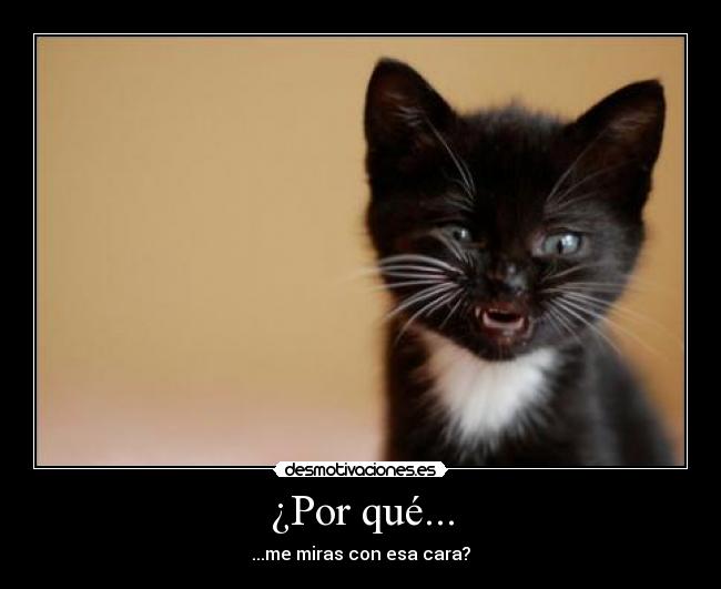 ¿Por qué... - ...me miras con esa cara?