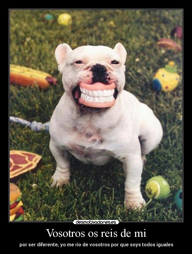 Vosotros os reis de mi - por ser diferente, yo me rio de vosotros por que soys todos iguales