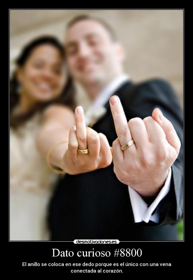Dato curioso #8800 - El anillo se coloca en ese dedo porque es el único con una vena conectada al corazón.