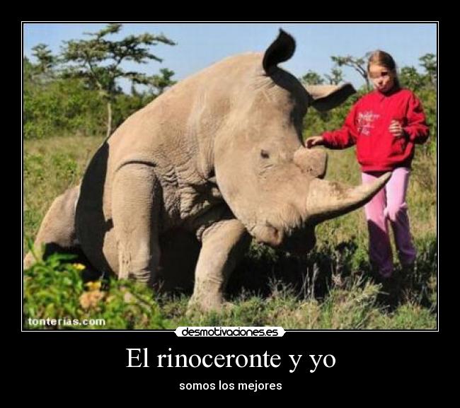 El rinoceronte y yo - somos los mejores